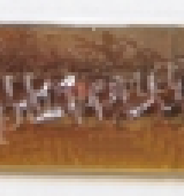 Фацет Decor Bevels DB264R прямоугольник