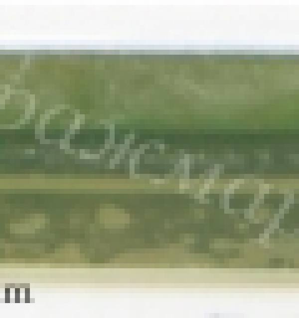 Фацет Decor Bevels DB264W прямоугольник
